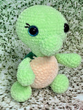 Hatching Turtle