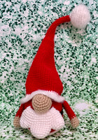 Santa Gnome