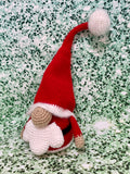 Santa Gnome