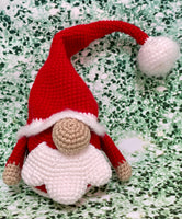 Santa Gnome