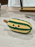 Delicata Squash